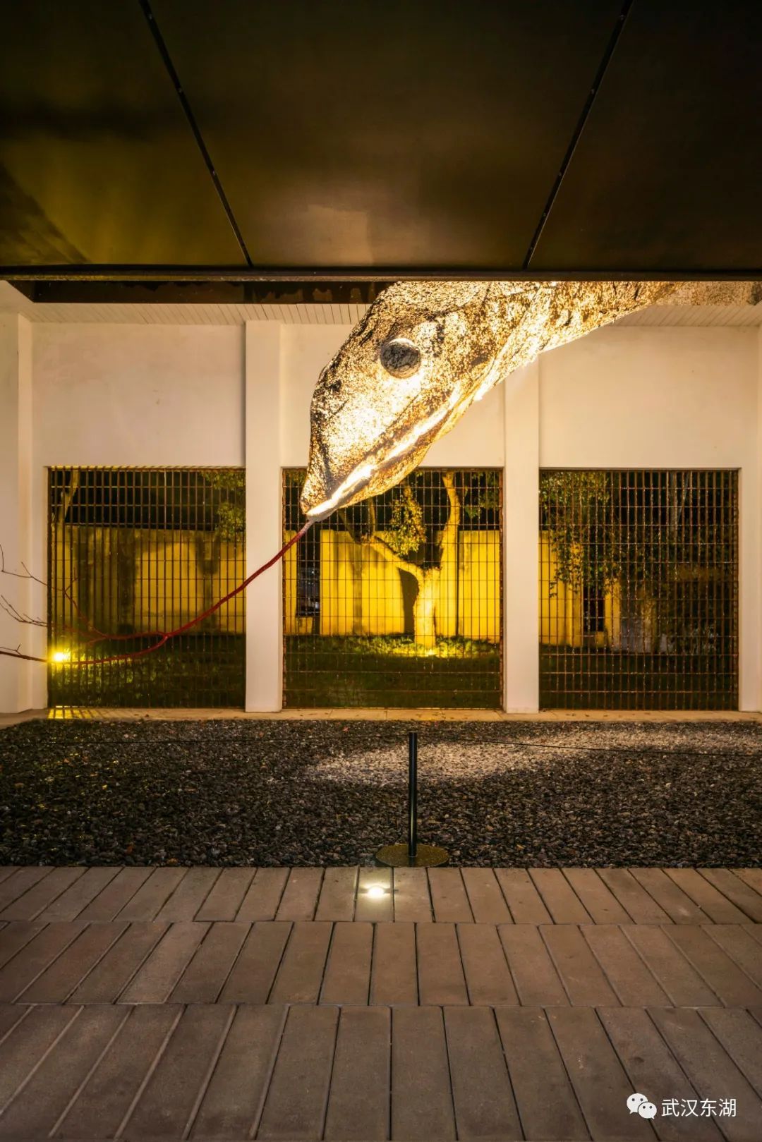 惊美!东湖杉美术馆开启夜游
