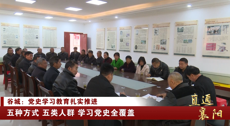 襄阳市谷城县南河镇苏区村老党员王能才:"今天我们学党史,更要汲取