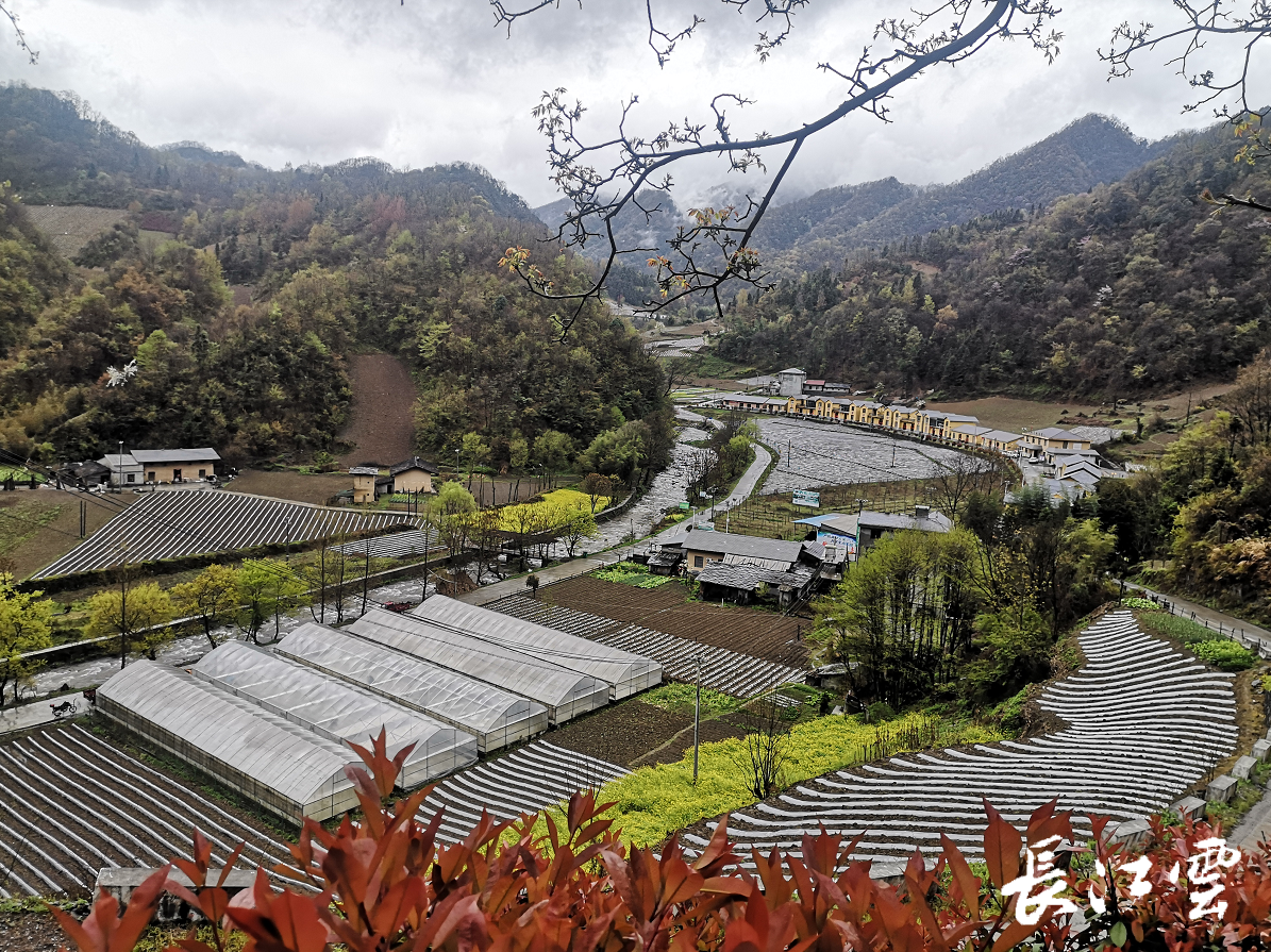 十堰竹溪村书记说变化搭建干群连心桥