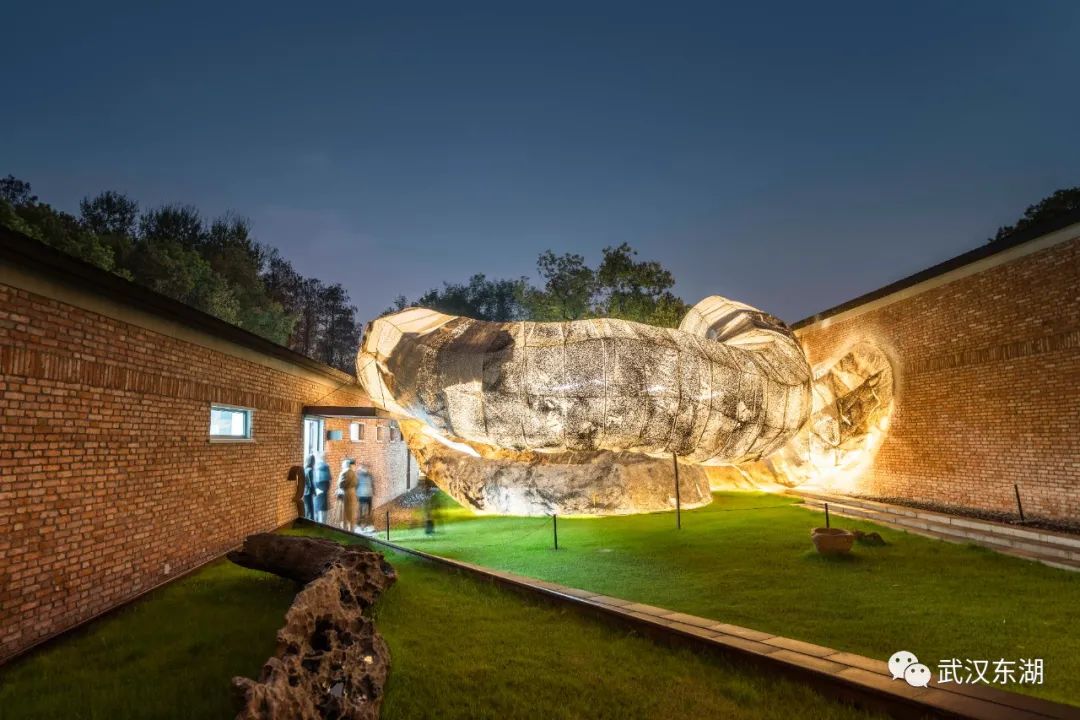 惊美!东湖杉美术馆开启夜游