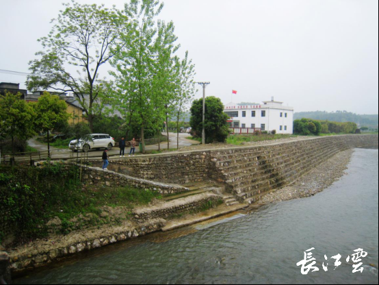 湖北通山县闯王镇三步棋"闯"出绿色新天地