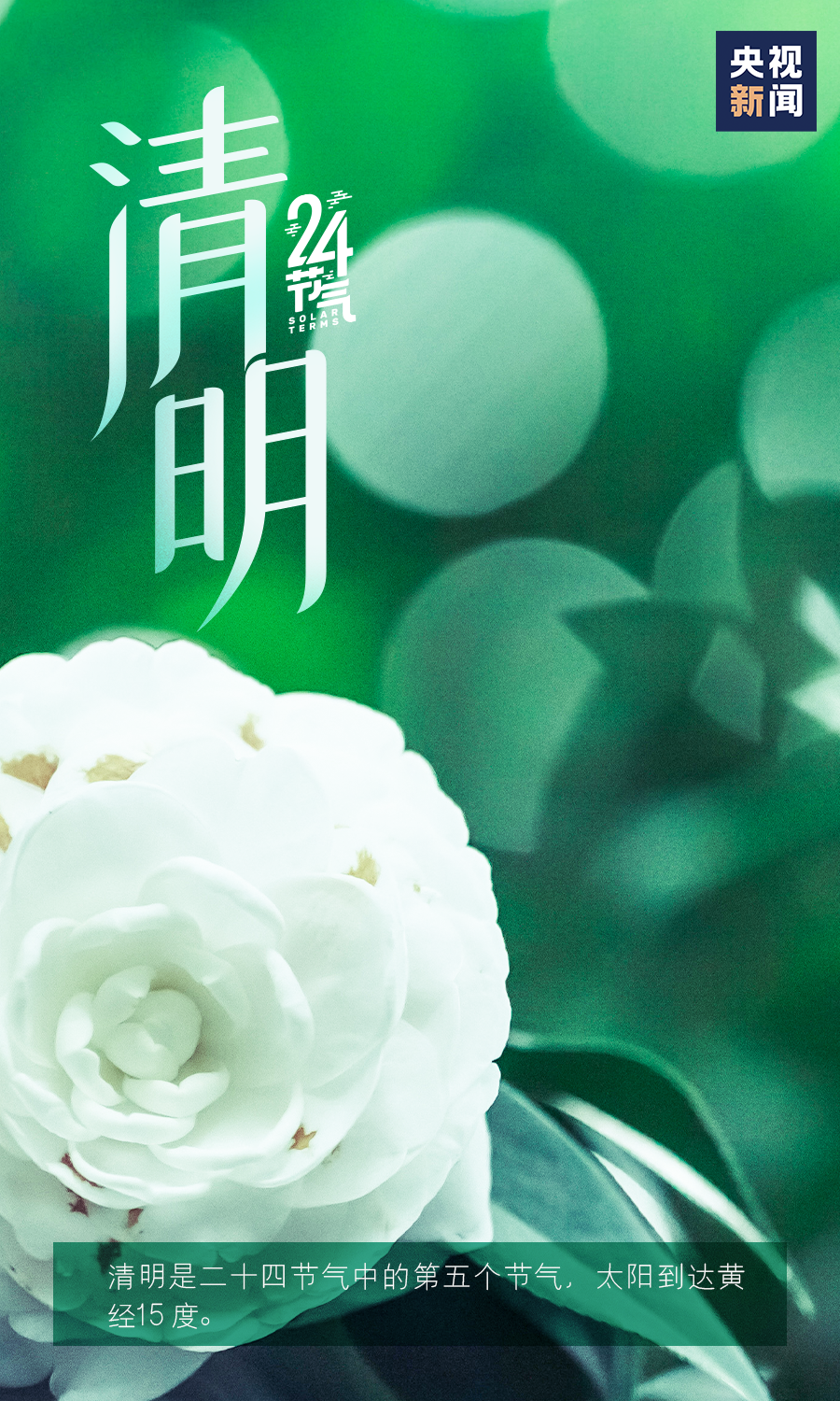 时值一年芳草绿,又是一年清明时