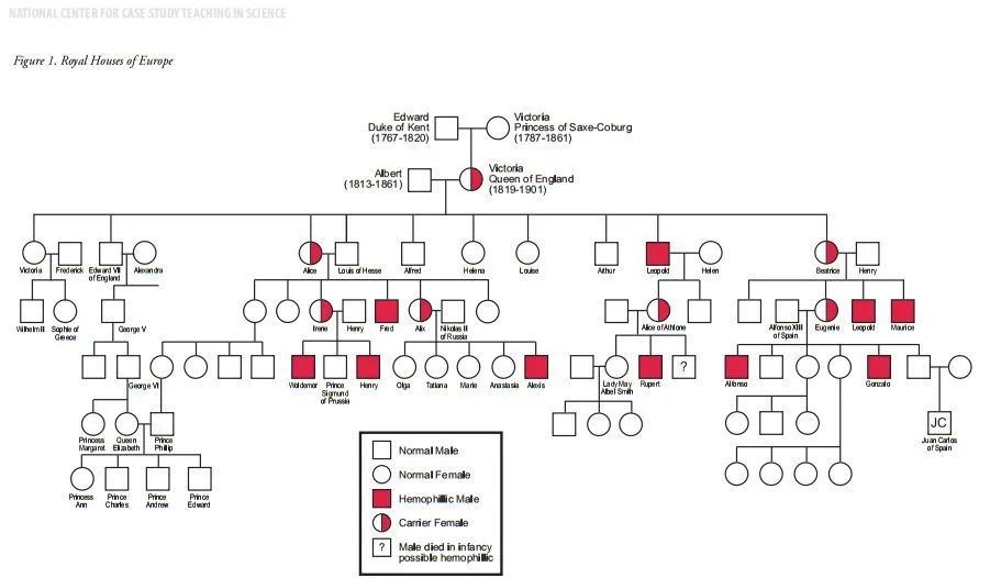随着欧洲贵族之间的通婚,该致病基因如同魔咒,在欧洲王室流传百年之久
