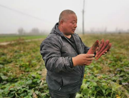 襄阳市王集镇双泉村,地处丘陵地带,水利,道路等基础设施薄弱,种地全靠