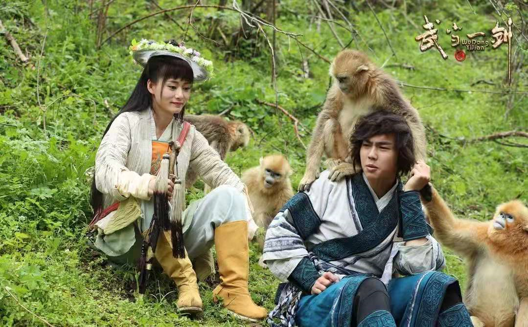 武当一剑收视率夺冠60实景出自湖北神农架