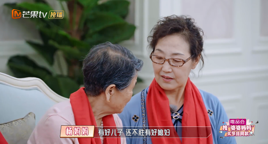 综艺节目深度解析婆媳关系