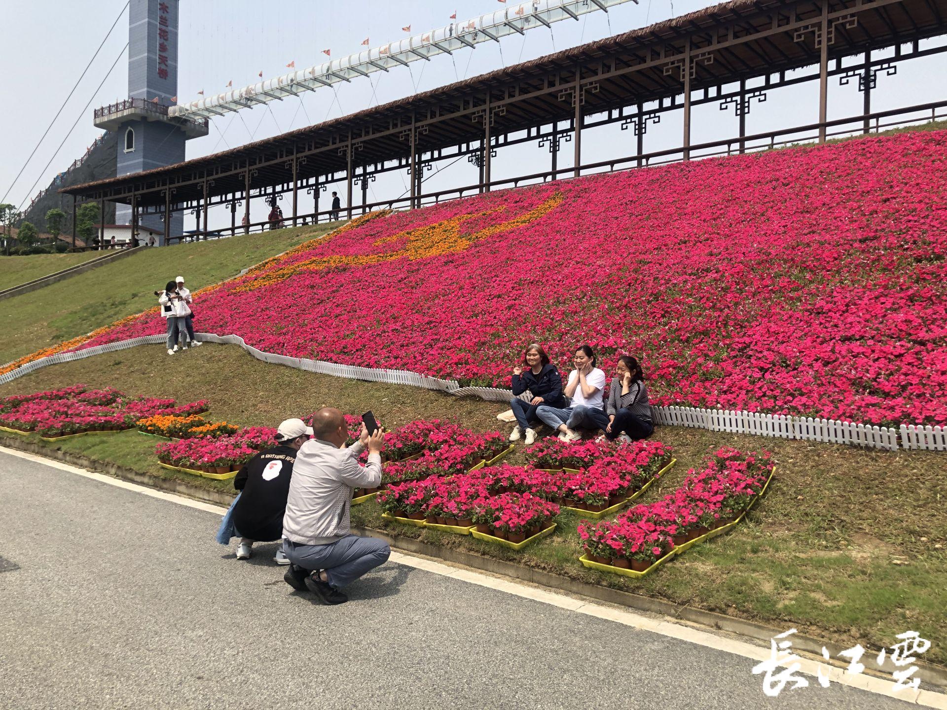 武汉红色打卡地图片