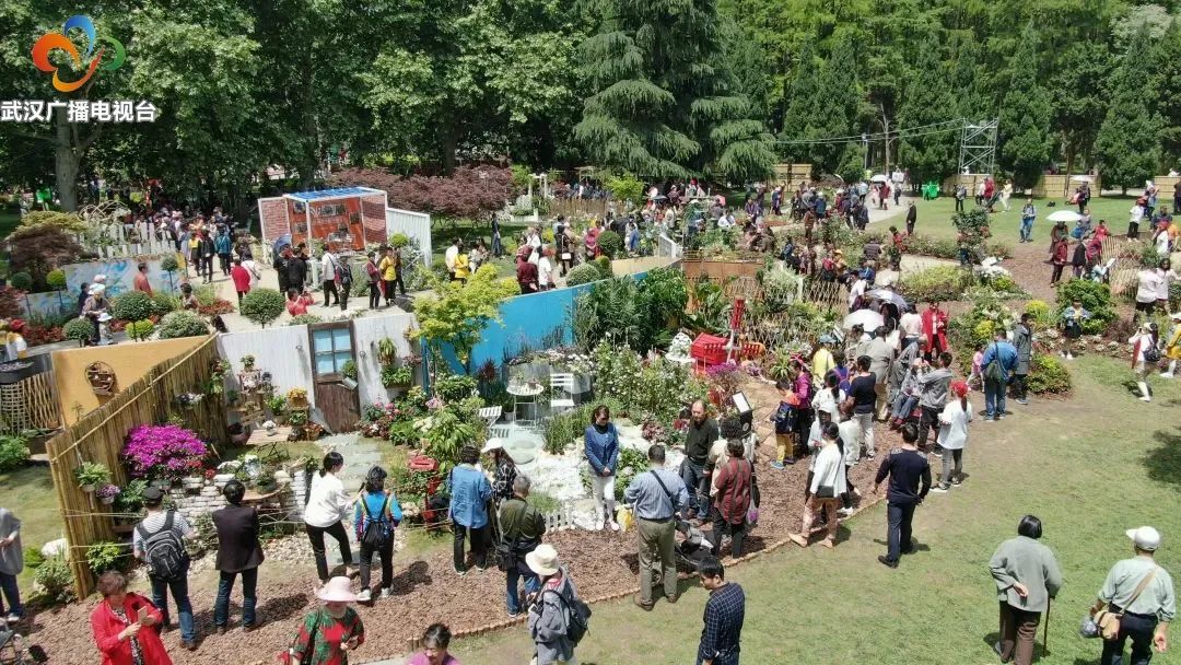 把花园搬回家武汉市第二届家庭园艺展开幕啦