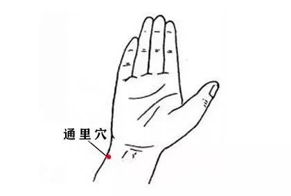 心动过缓的人群大多在通里穴(小指一侧的腕横纹向上1横指处)有压痛