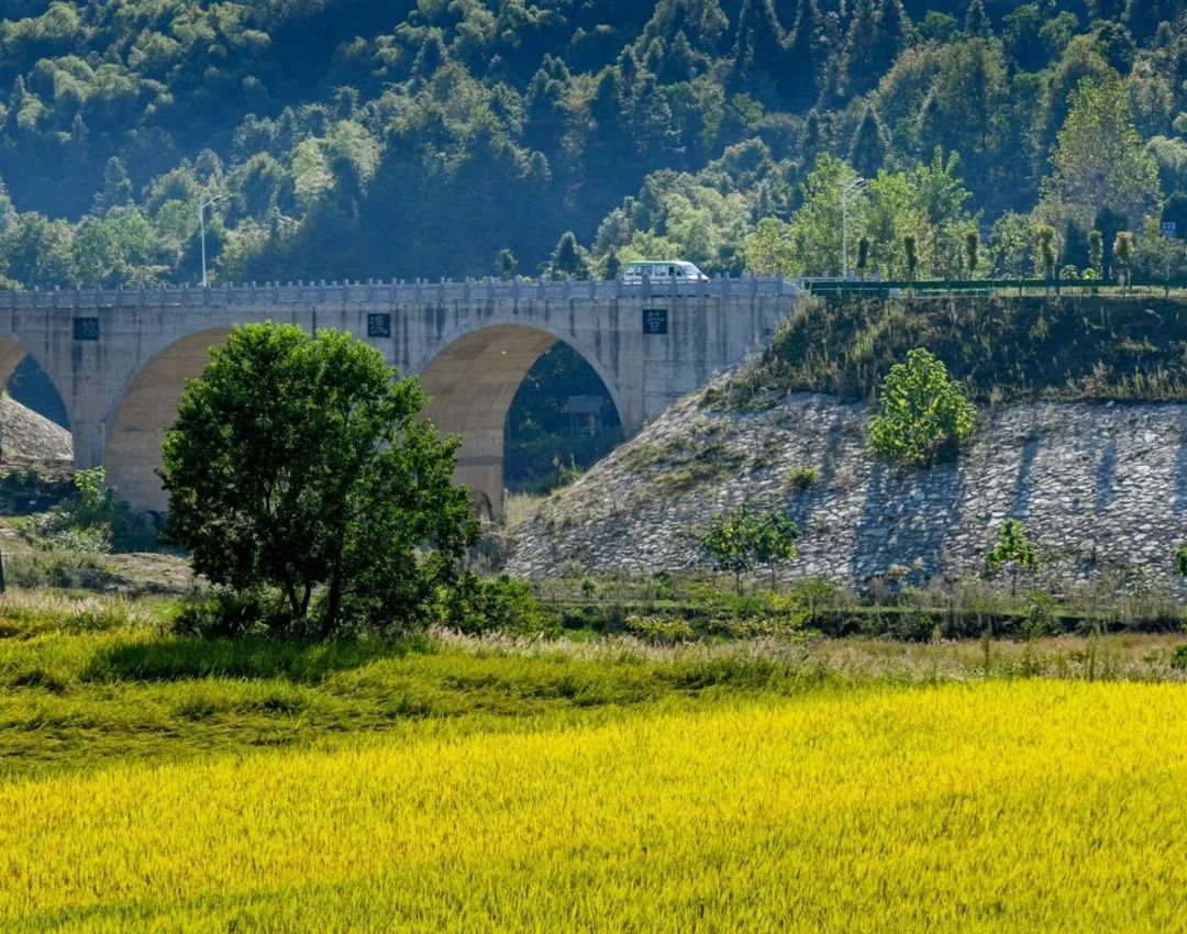 湖北这条路入选全国十大最美农村路