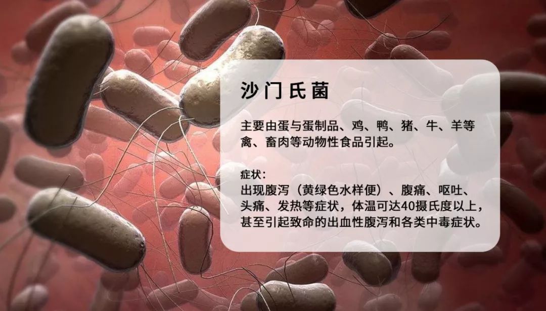 食品安全科普吃个西瓜差点儿没命夏季预警留意家中厨房隐藏的健康危机
