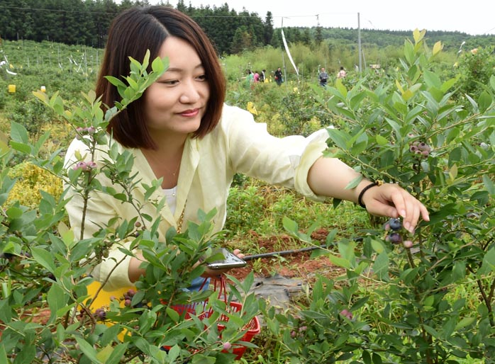 梁子湖畔蓝莓甜02鄂州市首家乡村游3a景区迎客