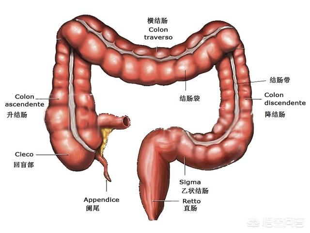这种癌症早期并无明显症状初次诊断时已经处于中晚期早诊筛查很重要