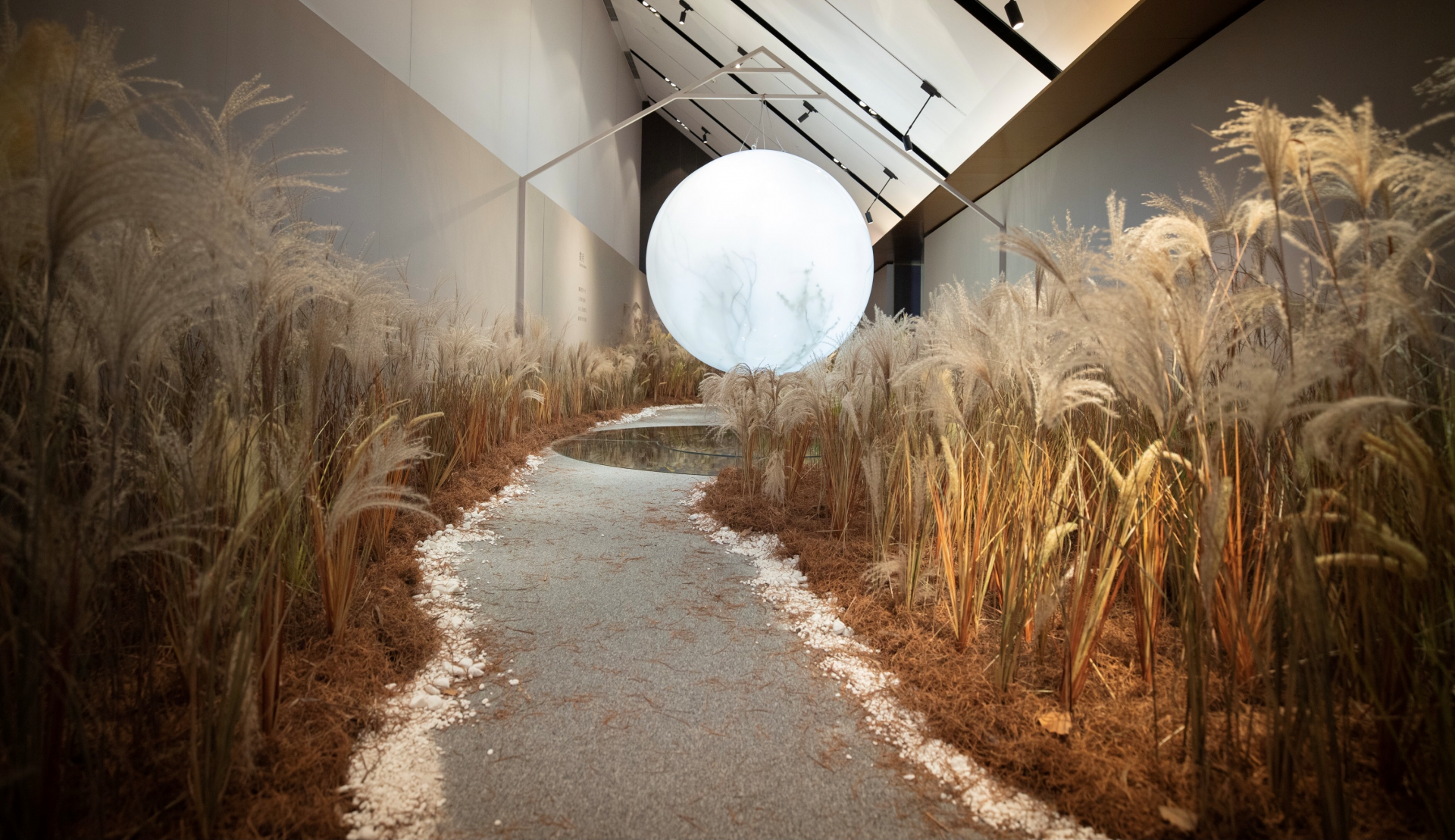 与天地挚友话风雅花语月花植艺术空间展开幕