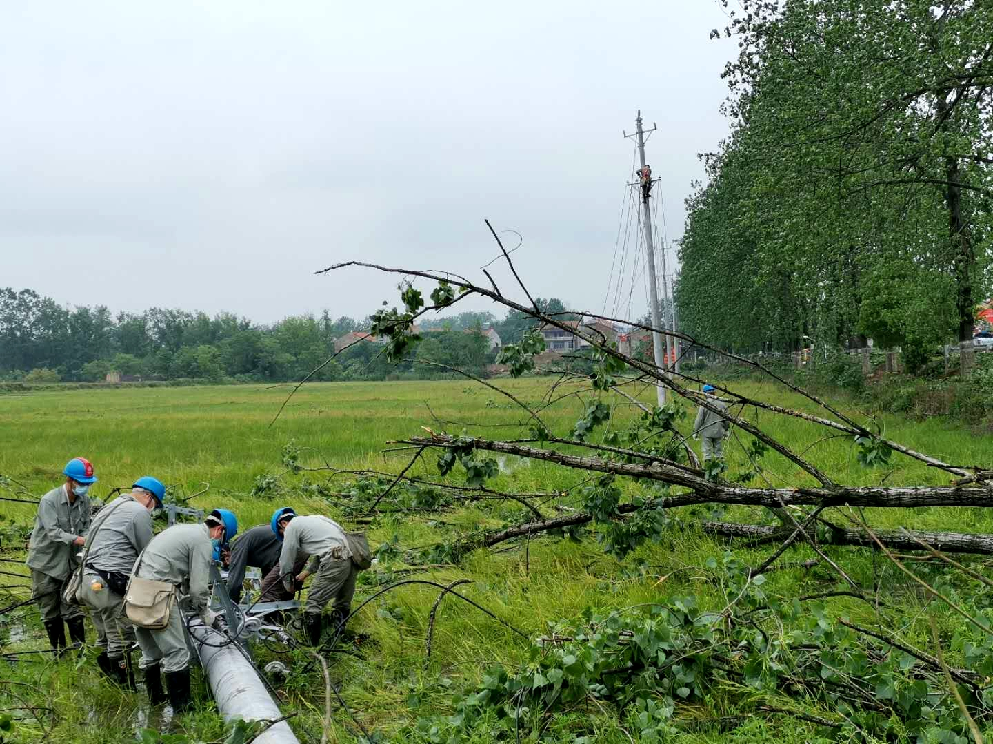 武汉暴雨高空作业图片