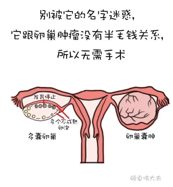 這些年你掛錯的那些號之婦科篇