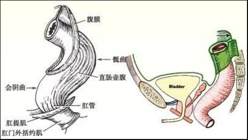 湖北网络广播电视台
