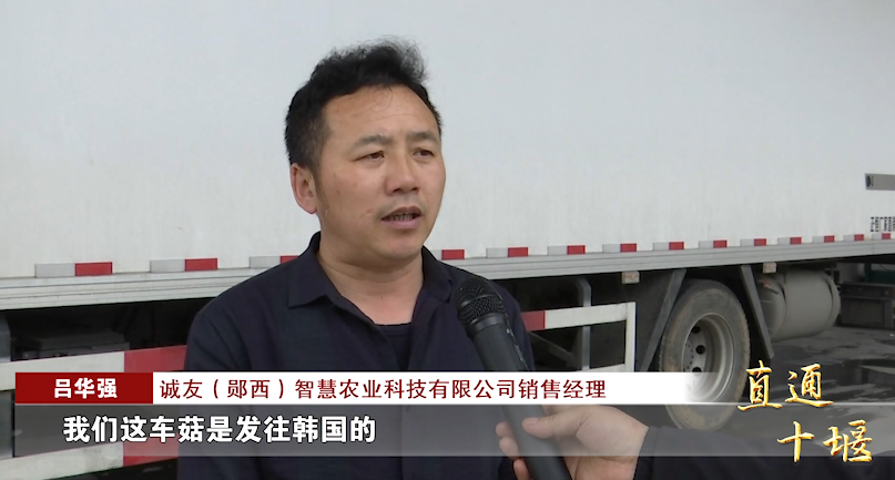 诚友(郧西)智慧农业科技有限公司销售经理吕华强:"我们这车菇是发往