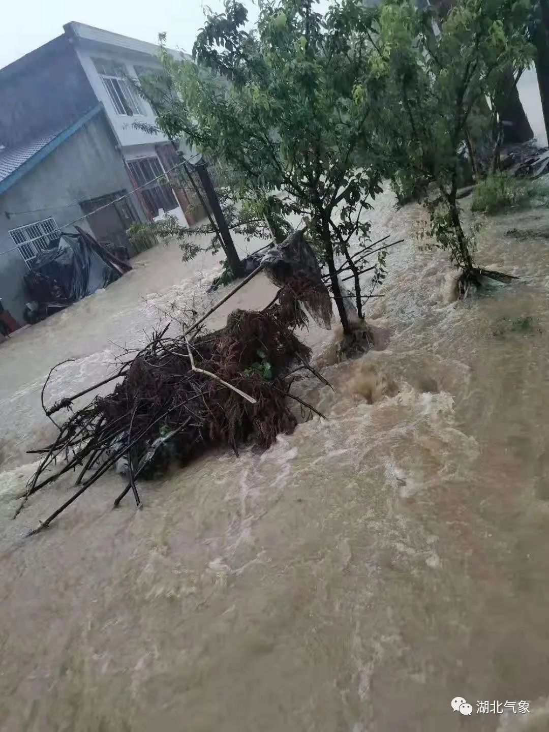 湖北这地受大暴雨袭击明起至中考全省天气如何