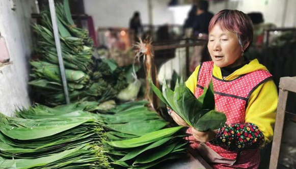 党史里的湖北之最83包粽子的箬叶半数来自湖北