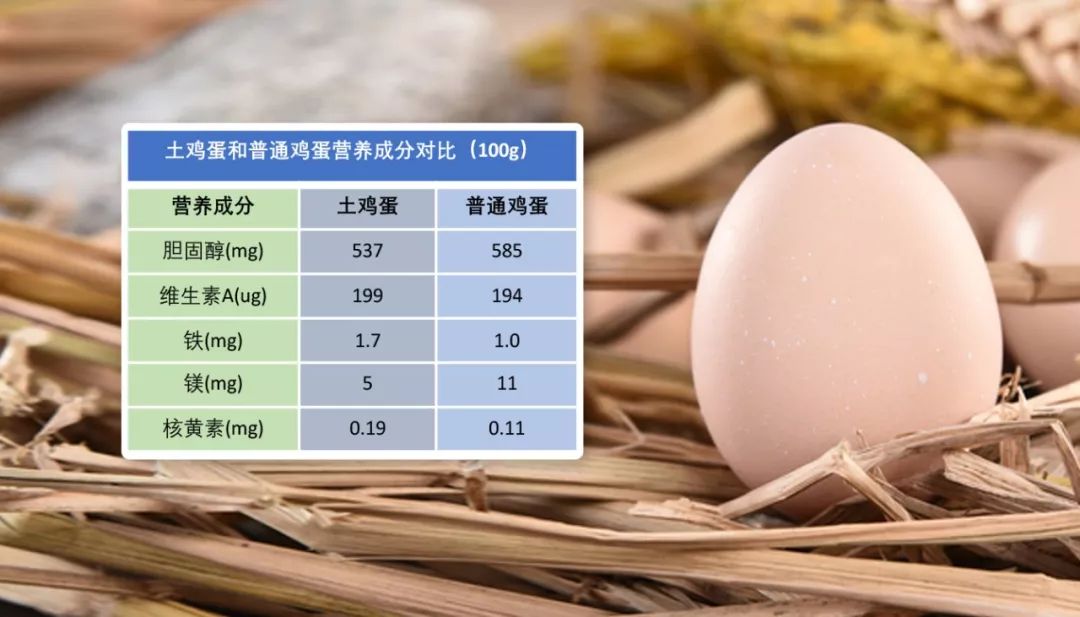 端午吃蛋|土鸡蛋真的比洋鸡蛋有营养?这份挑蛋吃蛋攻略请收好!