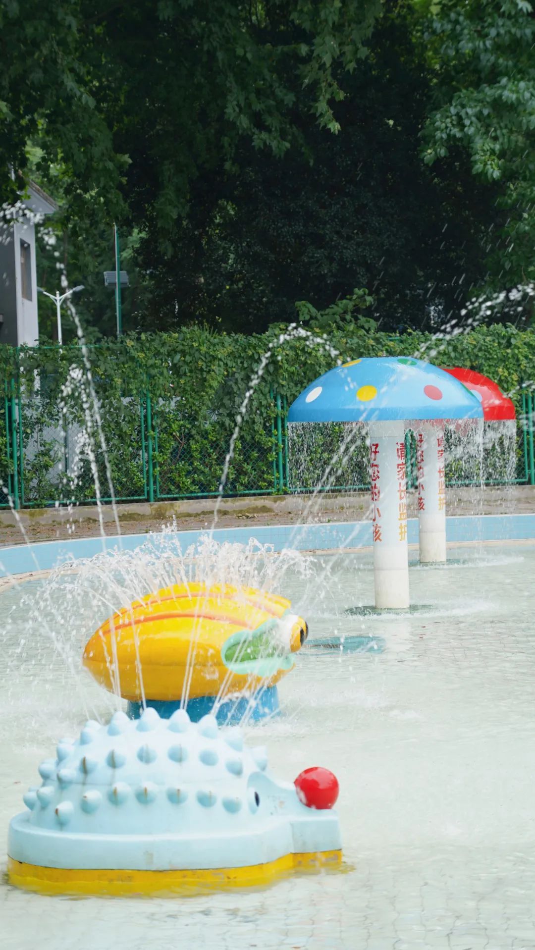 解放公园游泳池明天清凉回归快来这里玩水吧