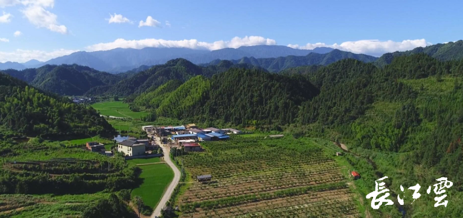 咸寧市通山縣闖王鎮龜墩村:產業