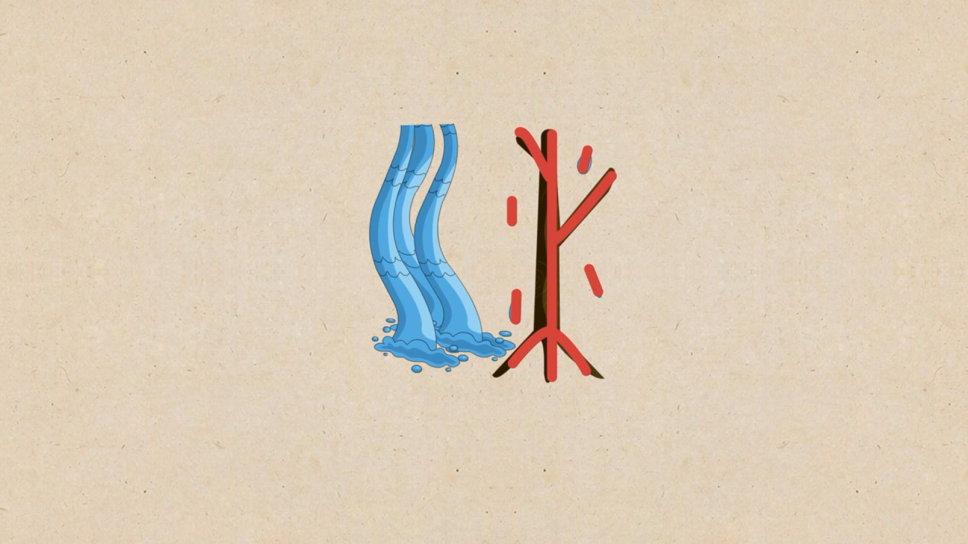 汉字解密丨沐——沐,濯发也._长江云 - 湖北网络广播电视台官方网站