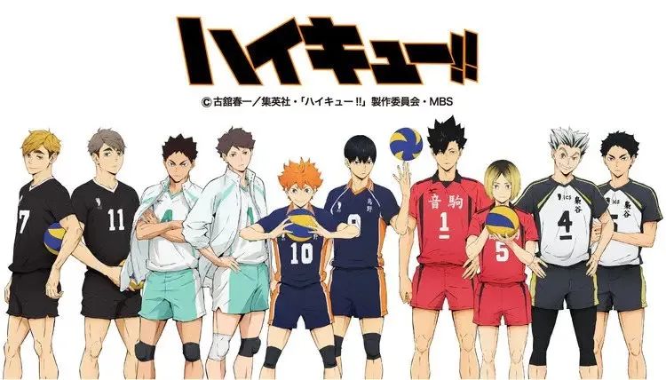 写实运动的《排球少年》没有炫技和超能力,只有跌跌撞撞的过程和同甘