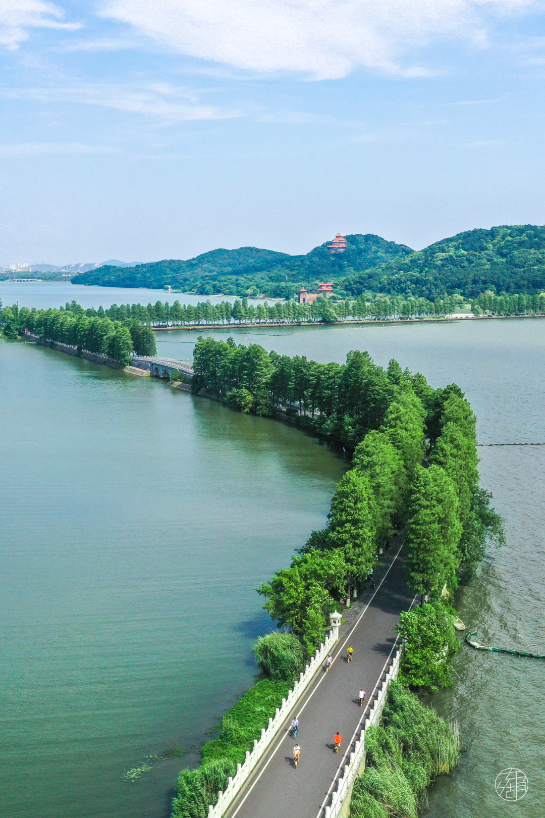 东湖防汛四大秘籍曝光