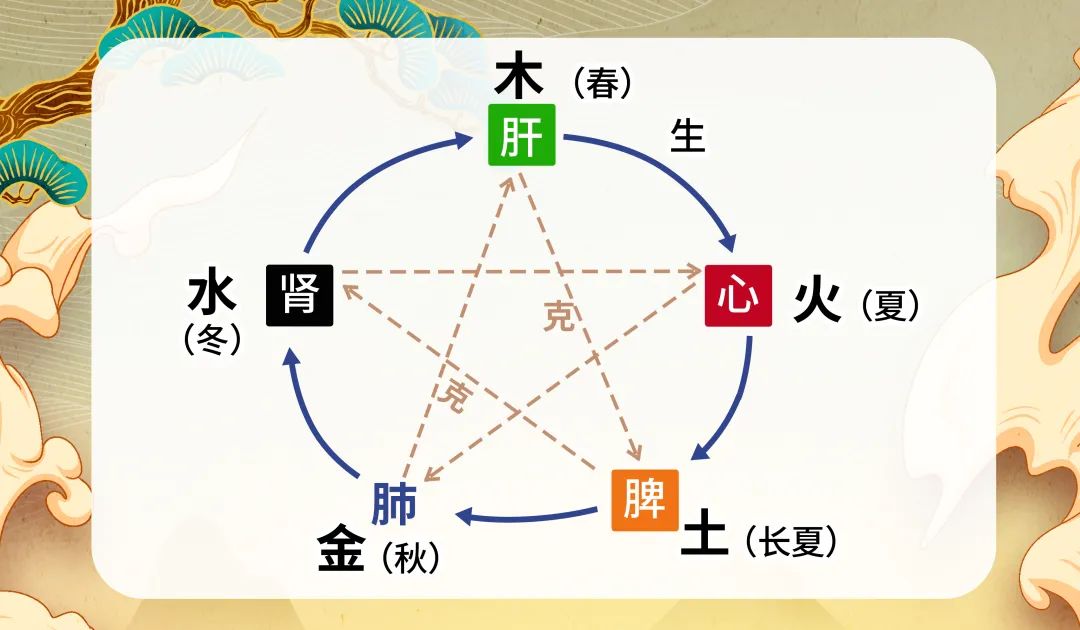 四时与五脏选择谷物油也是摄取谷物营养的一个好方法,像稻米油中,谷壳