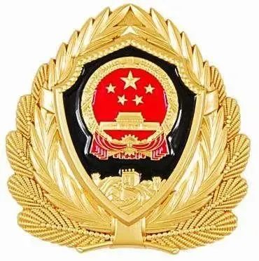 武警部队徽章图片