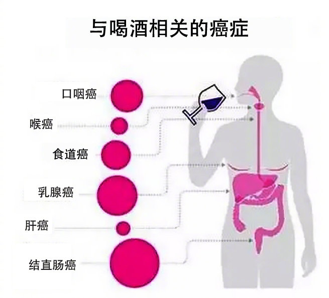 喝酒致癌的人中国人占全球四成