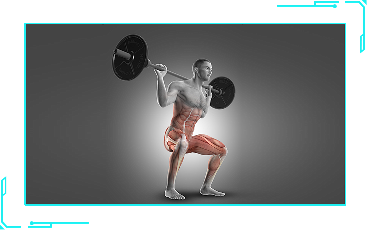 所以给大家推荐两个腿部抗阻力的训练:坐蹲:1,双脚打开与肩同宽(或更