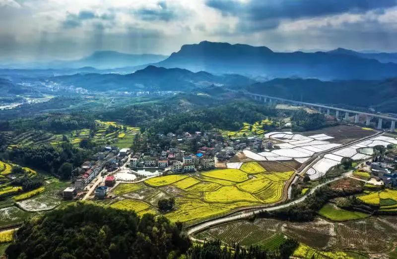 阳新县枫林镇大畈村是一个"多山,多水,多矿,多竹"的自然资源富集村.