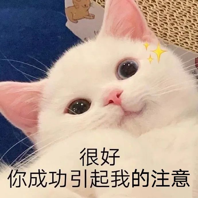 记者:黄海见习记者:田野实习生:陈泽宇主编:曹馨月编辑:邓梦婷审核