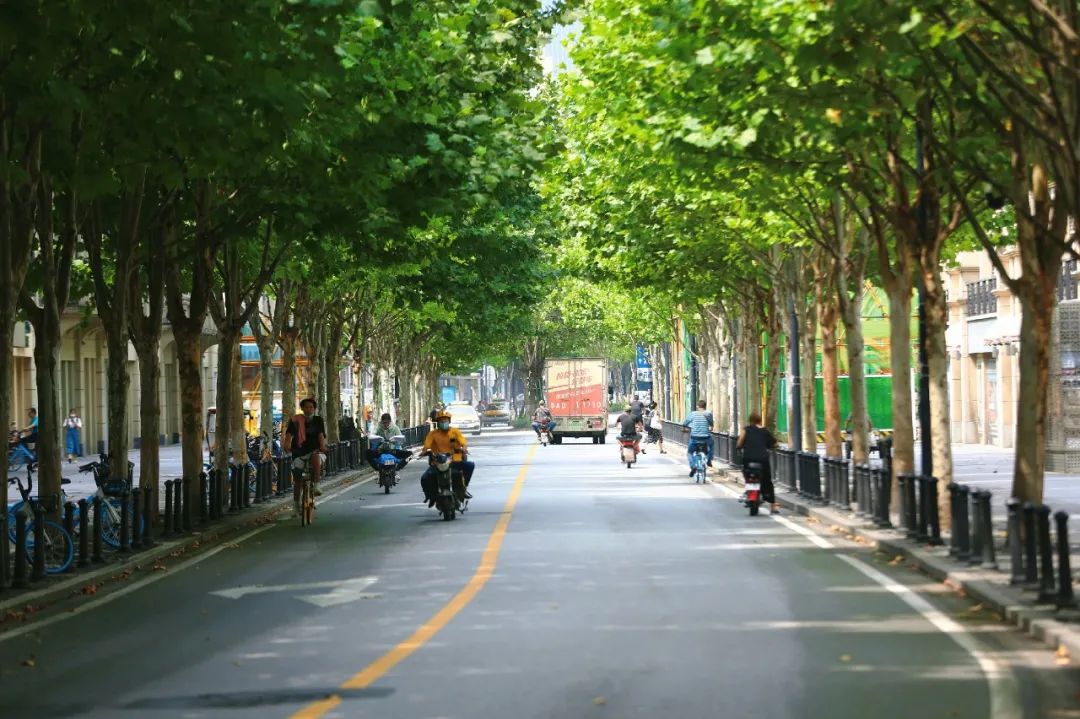 一图带你穿越武汉10大最美林荫路