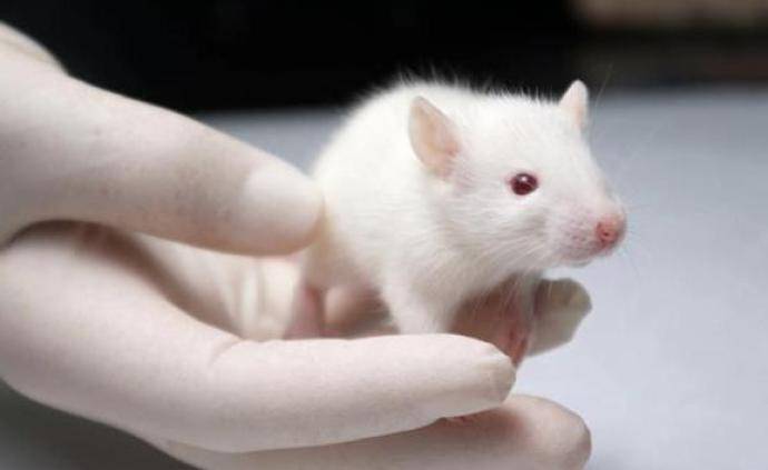 2020年初新冠肺炎在全球范围爆发,我国建立了国际首个新冠肺炎病毒