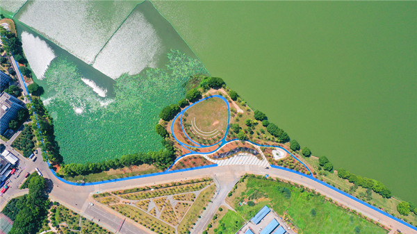 武汉填新绿中南财经政法大学南湖绿道完工