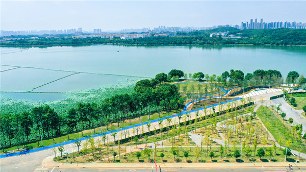 武汉填新绿中南财经政法大学南湖绿道完工