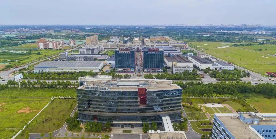 出行,"飞"比寻常:武汉临空经济"振翅欲飞"