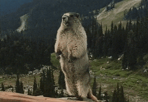 "我病了,可是他们都叫我别矫情"