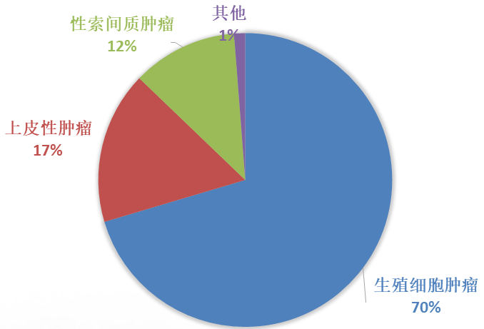 生殖细胞肿瘤 湖北网络广播电视台
