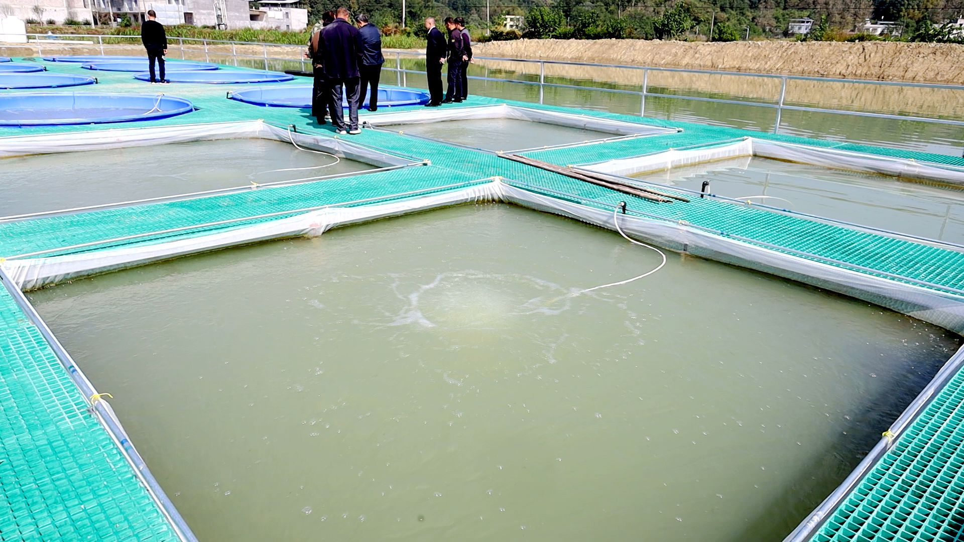 通城科技圈养打造水产养殖新生态
