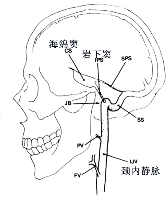 目前,市一医院已经形成了完善的内分泌疾病检测及诊治系统,并与放射