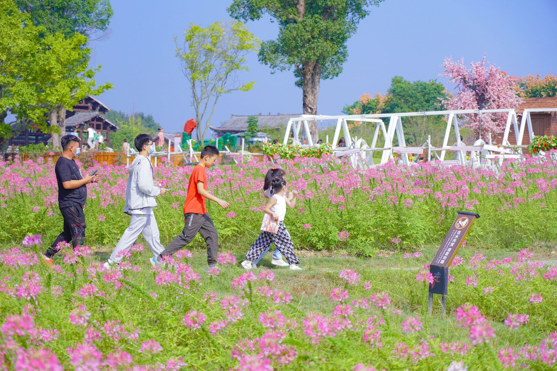 十一黄金周武汉市乡村休闲游景区接待252万人
