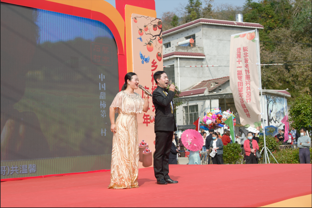 开幕第十一届罗田錾字石甜柿节在罗田县三里畈镇錾字石村文化广场隆重