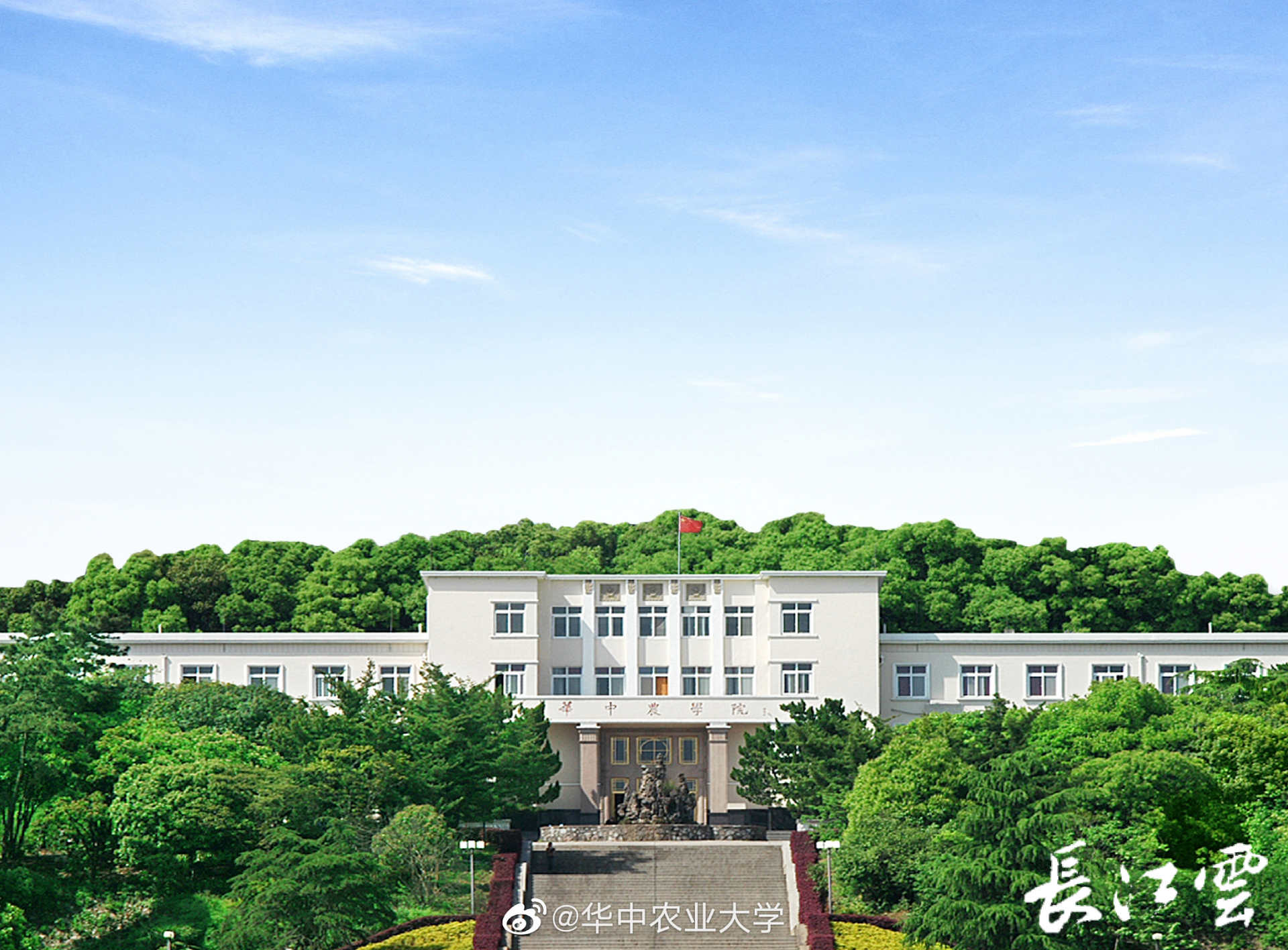 湖北省科技厅厅长王炜,省委农办主任,省农业农村厅厅长,省乡村振兴局