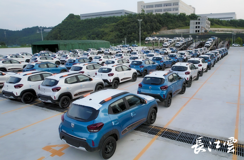 从易捷特公司了解到,达契亚(dacia)品牌电动车dacia spring在欧洲上市