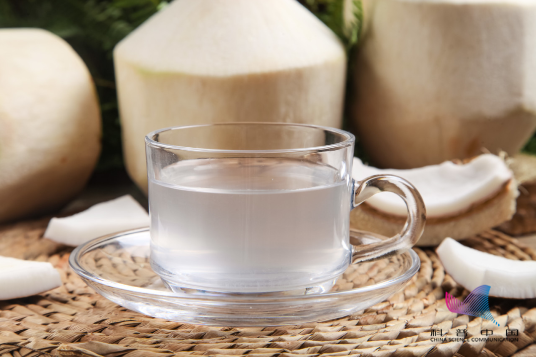 椰汁椰子果有外果皮(厚而疏松的棕色纤维层),中果皮(坚硬的椰子壳),内